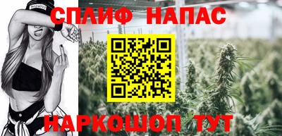 хмурый Кингисепп