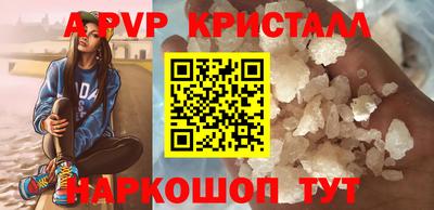 хмурый Кингисепп