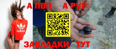хмурый Кингисепп