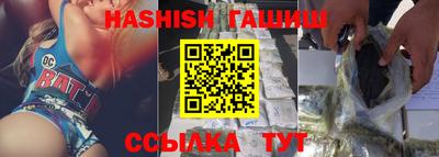 хмурый Кингисепп