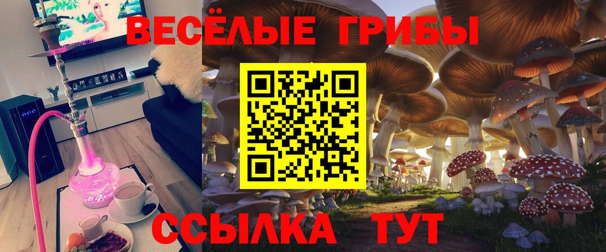 Крымск  купить наркоту  Галлюциногенные грибы GOLDEN TEACHER  Вход с VPN  Псилоцибиновые грибы прущие грибы 