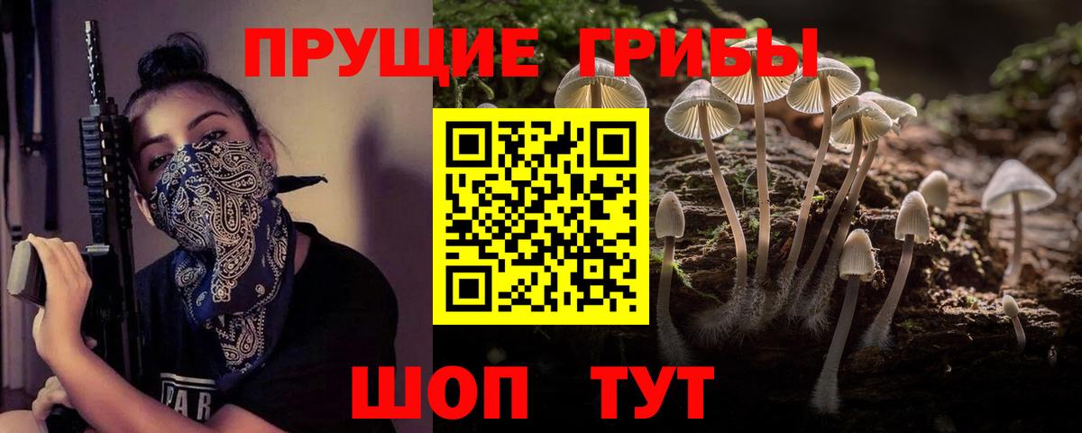 Псилоцибиновые грибы Psilocybine cubensis Крымск
